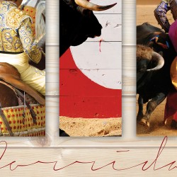 Tableau Toile Corrida Montage Fond Bois