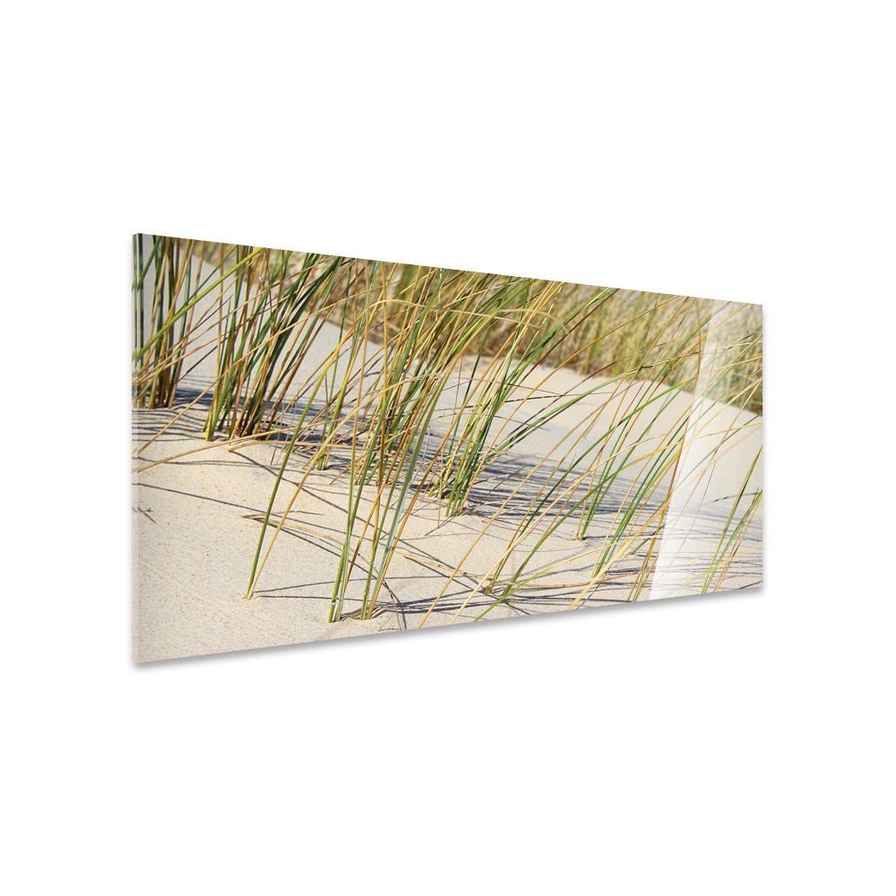 Tableau Nature Oyats Dunes Sauvages