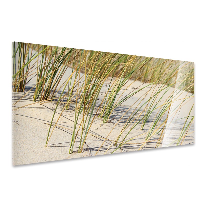 Tableau Nature Oyats Dunes Sauvages