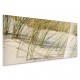 Tableau Nature Oyats Dunes Sauvages