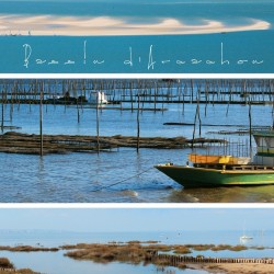 tableau-toile-bassin-arcachon-photos-panoramiques-paysage