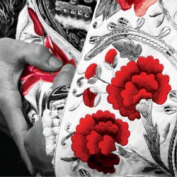 tableau-alu-corrida-habit-de-lumière