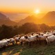 tableau-plexi-montagne-saibi-pays-basque