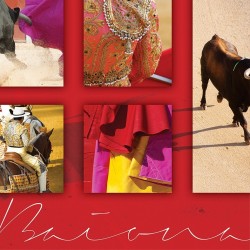 tableau-toile-corrida-montage-fond-rouge