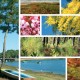tableau-photo-sudouest-mosaïque-nature-paysage-landais