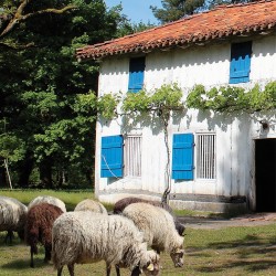 tableau-maison-landaise-marqueze