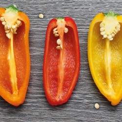 tableau-poivrons-rouges-et-jaunes