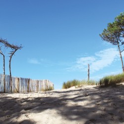 Tableau Toile Petit Nice Plage Pyla sur Mer
