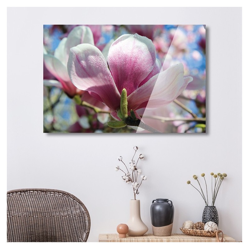 Tableau Photo Magnolia Fleur Rose