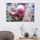 Tableau Photo Magnolia Fleur Rose
