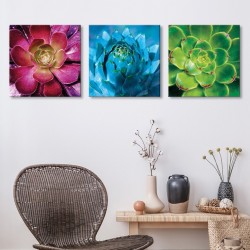 tableau-toile-succulente-rose