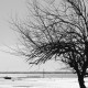 tableau plage de cassy noir et blanc