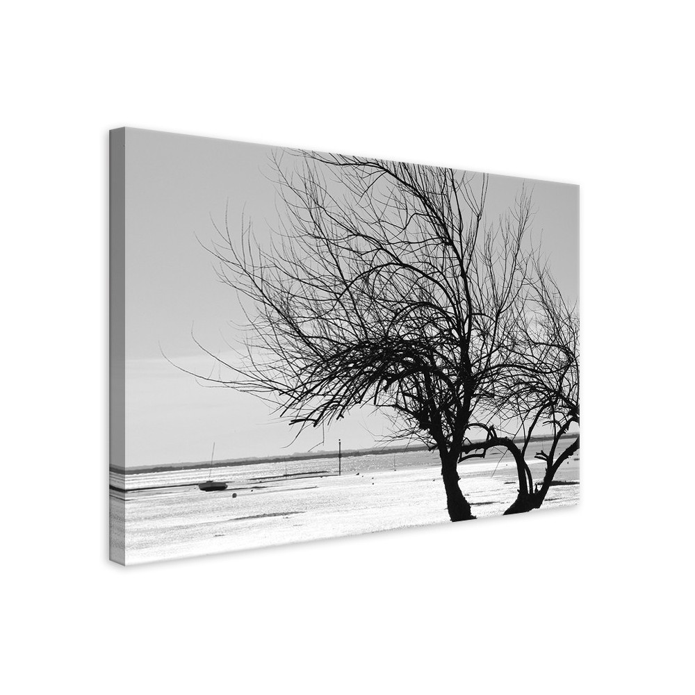 Tableau Plage de Cassy Noir et Blanc