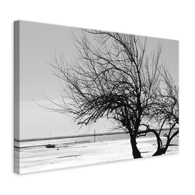 Tableau Plage de Cassy Noir et Blanc