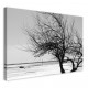 Tableau Plage de Cassy Noir et Blanc