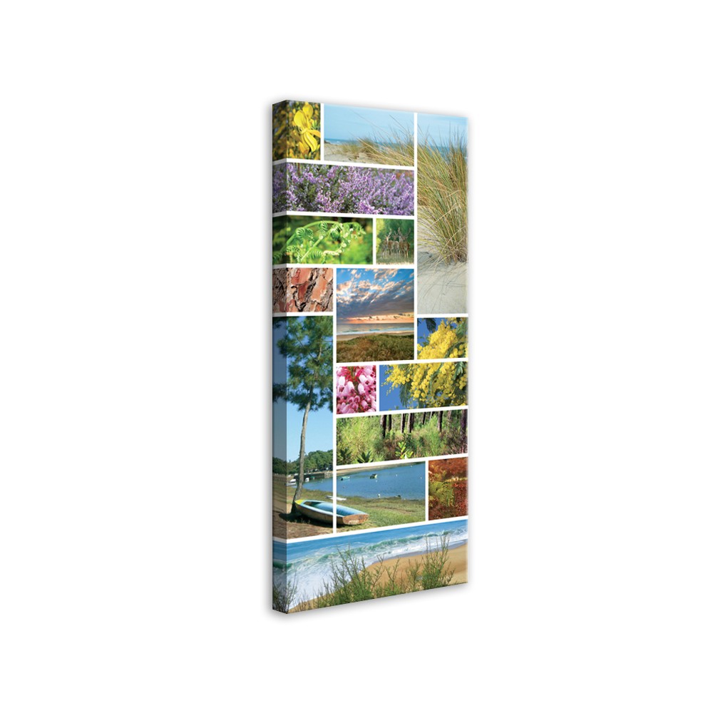 Tableau Photo Sud-Ouest Mosaïque Paysage Landais