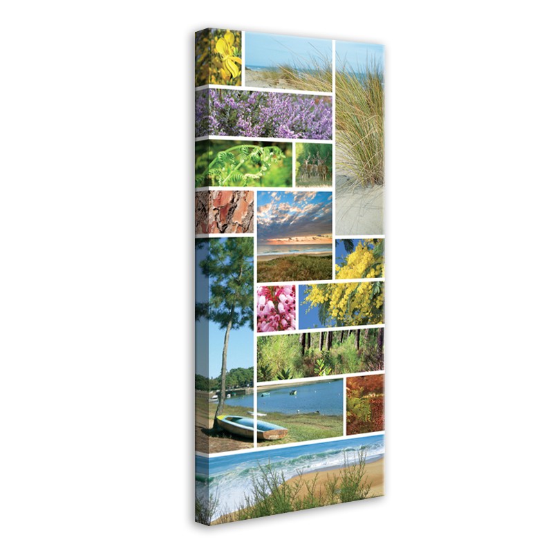 Tableau Photo Sud-Ouest Mosaïque Paysage Landais
